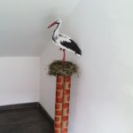 img_20170314_093549