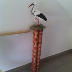 img_20170314_123830