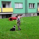 Sportovní kynologie a agility