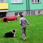 Sportovní kynologie a agility