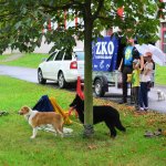 Sportovní kynologie a agility