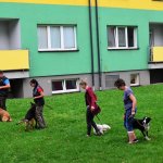 Sportovní kynologie a agility