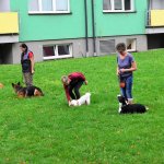 Sportovní kynologie a agility