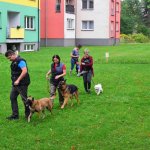 Sportovní kynologie a agility