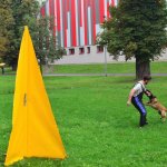 Sportovní kynologie a agility