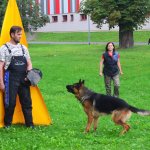 Sportovní kynologie a agility