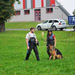 Sportovní kynologie a agility