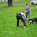 Sportovní kynologie a agility